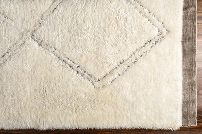 Cozy Oatmeal Hand Knotted Wool Area Rug