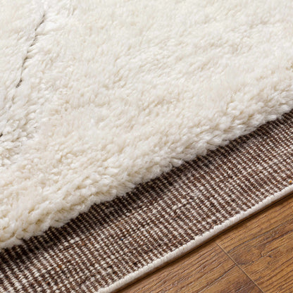 Cozy Oatmeal Hand Knotted Wool Area Rug