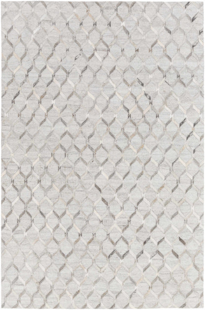 Dynamic Beige Hand Crafted Area Rug