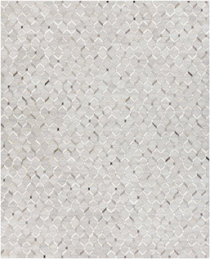 Dynamic Beige Hand Crafted Area Rug