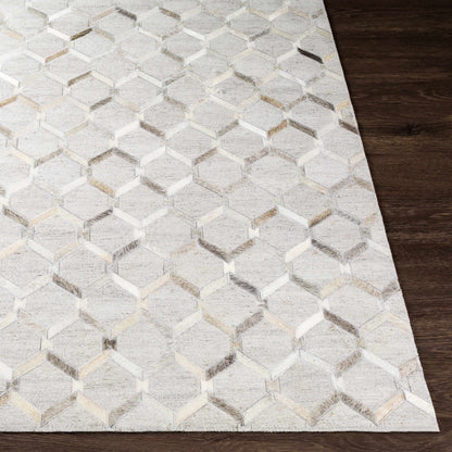 Dynamic Beige Hand Crafted Area Rug