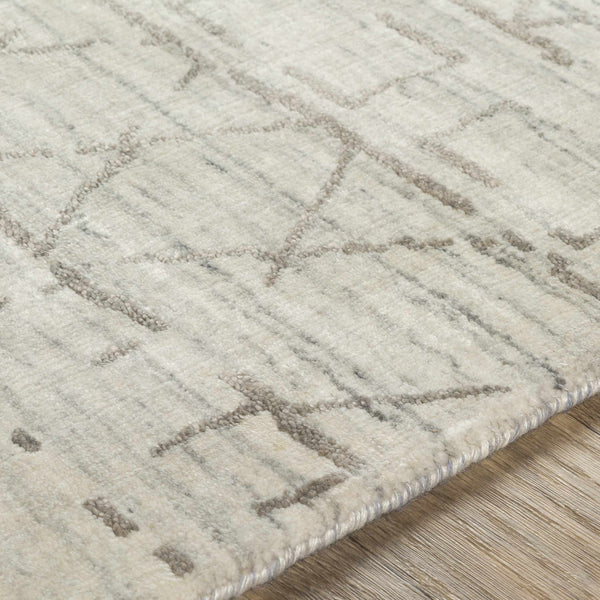 Worldly Lustrous Elegance Taupe Hand Knotted Area Rug