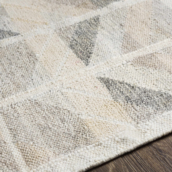 Characteristic Beige Hand Knotted Viscose Area Rug