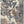 Fluffy Plush Cream Hand Knotted Wool Area Rug