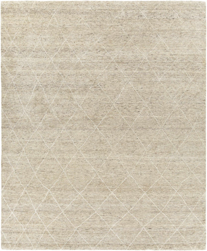 Elegant Diamond Beige Wool Hand-Knotted Area Rug