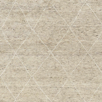 Elegant Diamond Beige Wool Hand-Knotted Area Rug